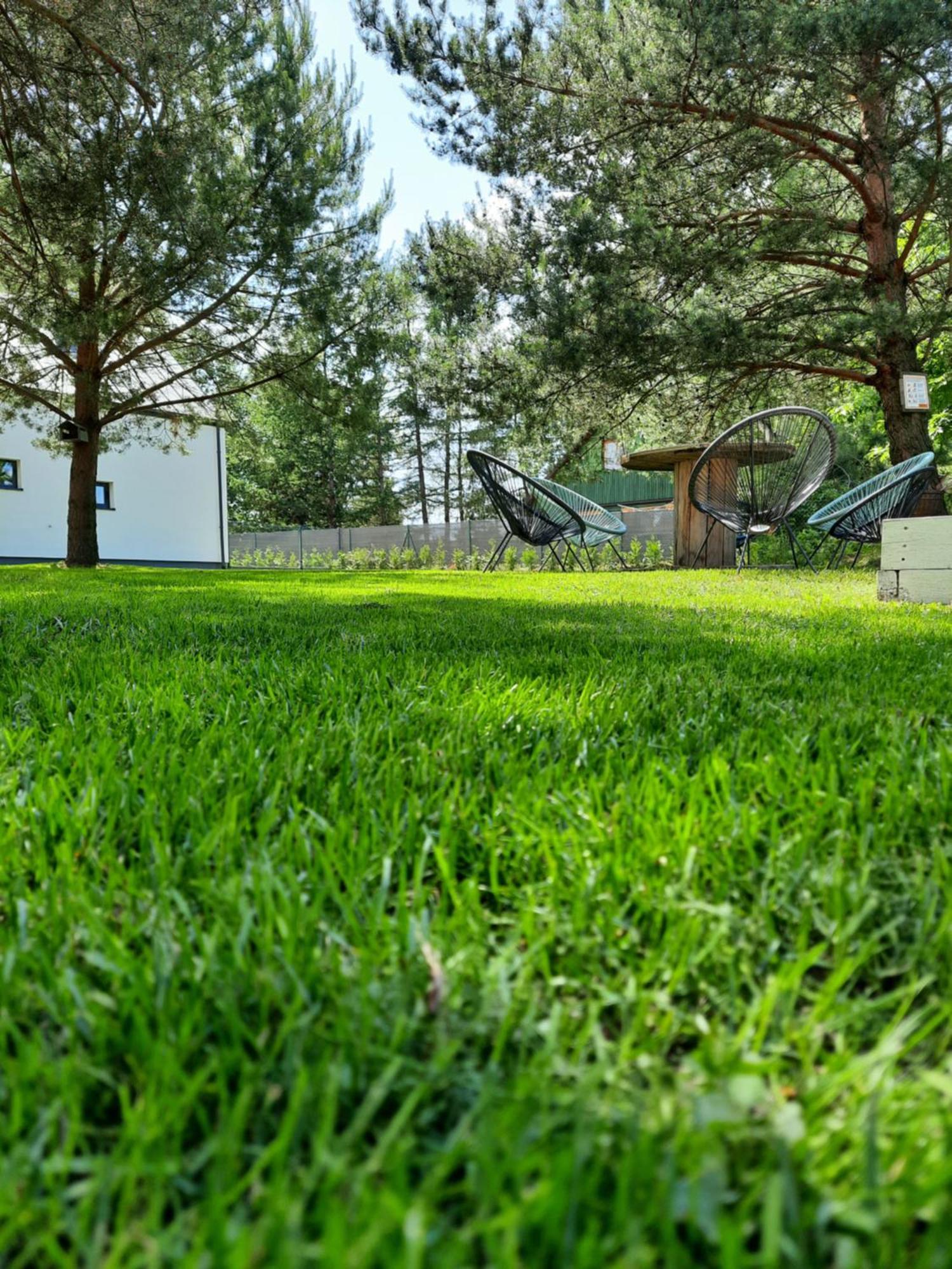 Sosnowe Zacisze Villa Sasino Exteriör bild
