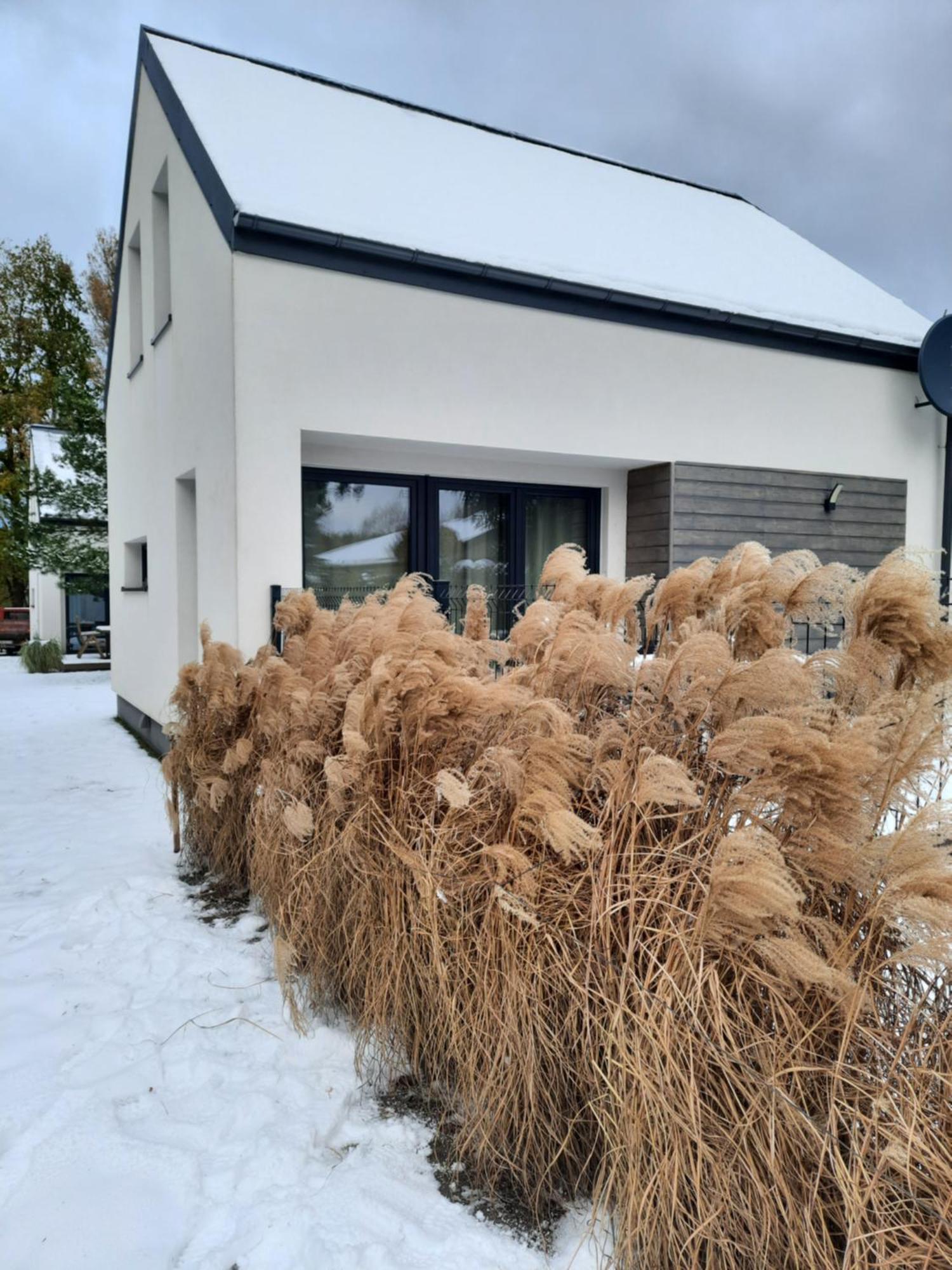 Sosnowe Zacisze Villa Sasino Exteriör bild