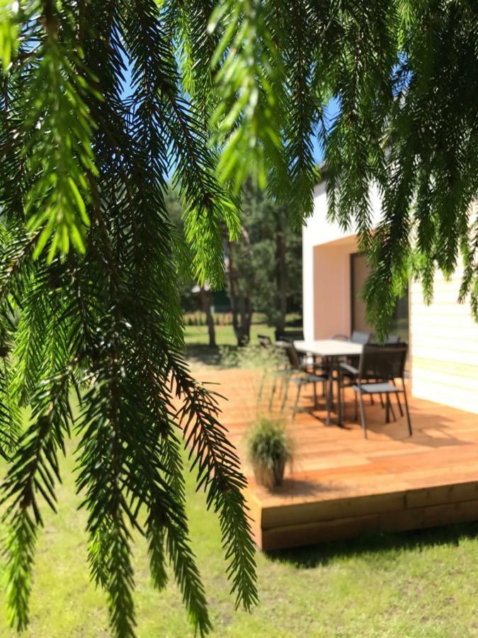 Sosnowe Zacisze Villa Sasino Exteriör bild